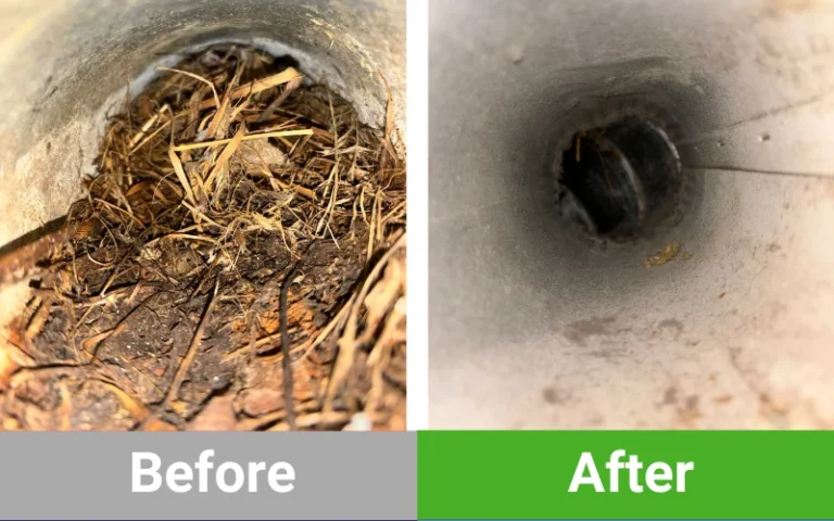 Dryer Vent Cleaning Houston TX - nest Before after